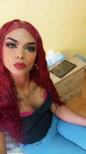 Transexual en Tarragona: 
