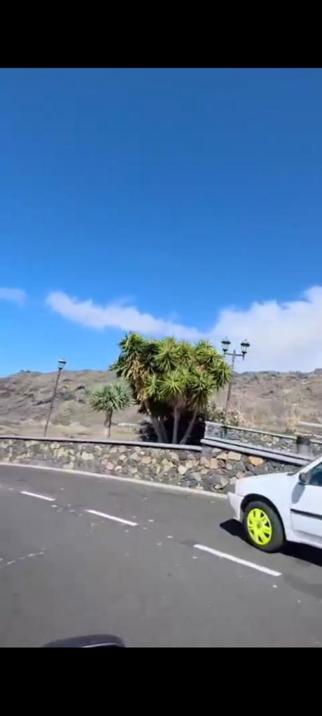 Travesti en Tenerife: 