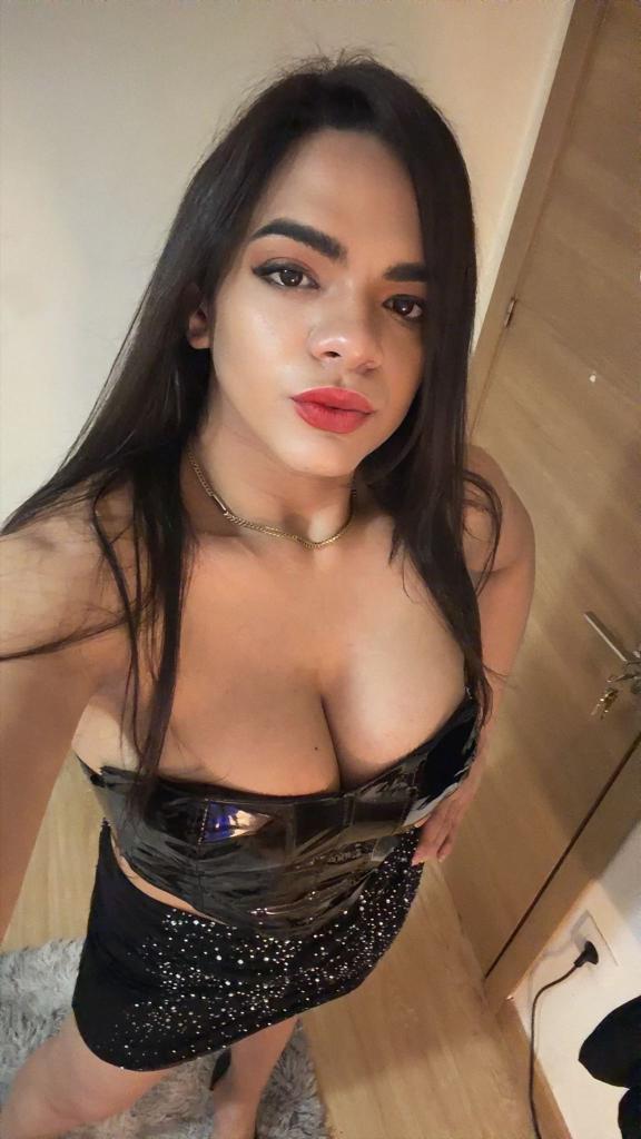 Transexual en Asturias: Transexuales y Travestis