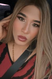 Travesti en Alicante: 