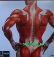 691041308: Chica busca chico en Zaragoza