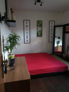 686215832: Chica busca chico en Huesca