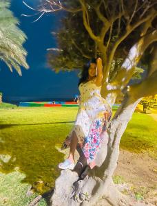 Transexual en Zaragoza: 