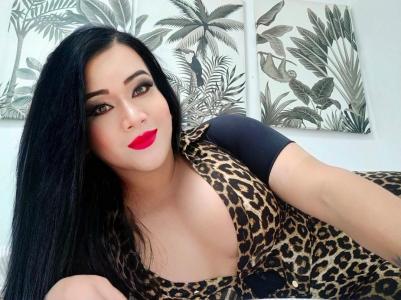 Transexual en Cádiz: 