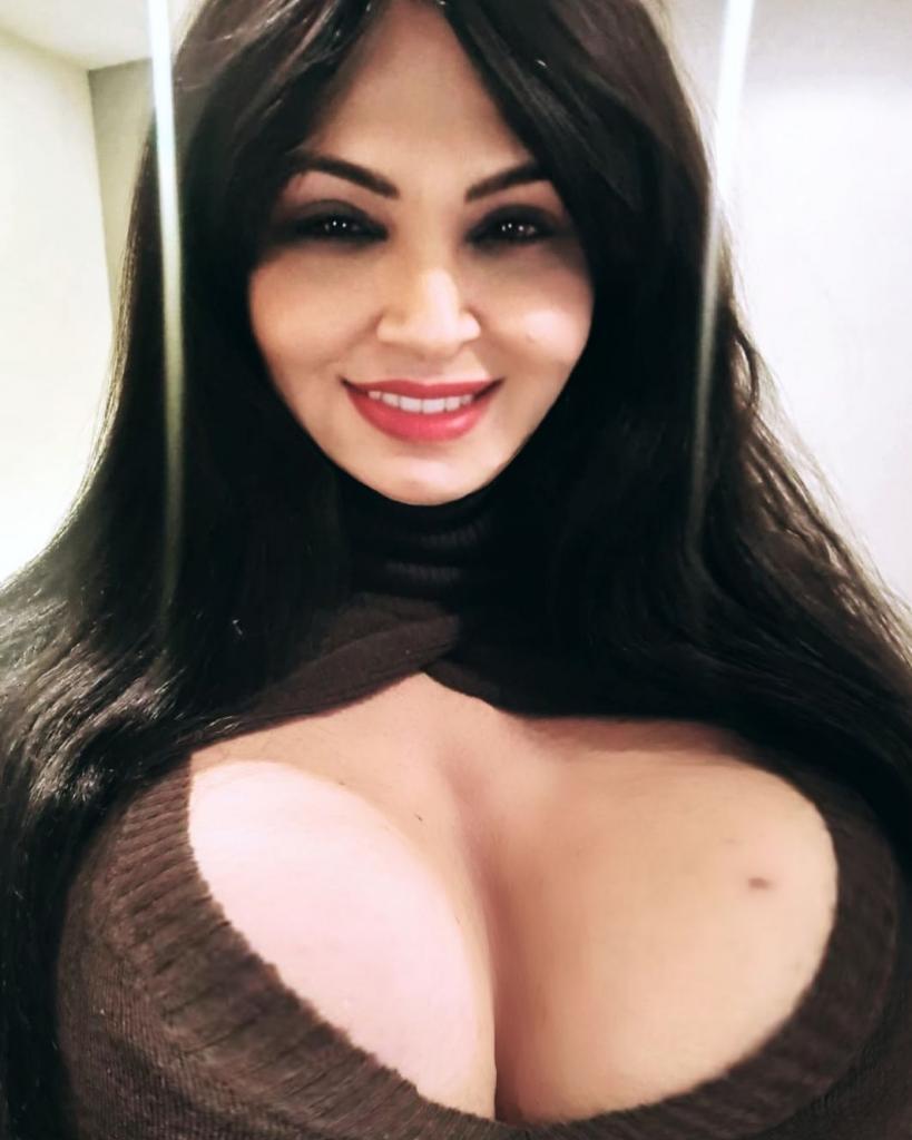 Travesti en Cantabria: 