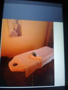 632271731: Chica busca chico en Guipúzcoa