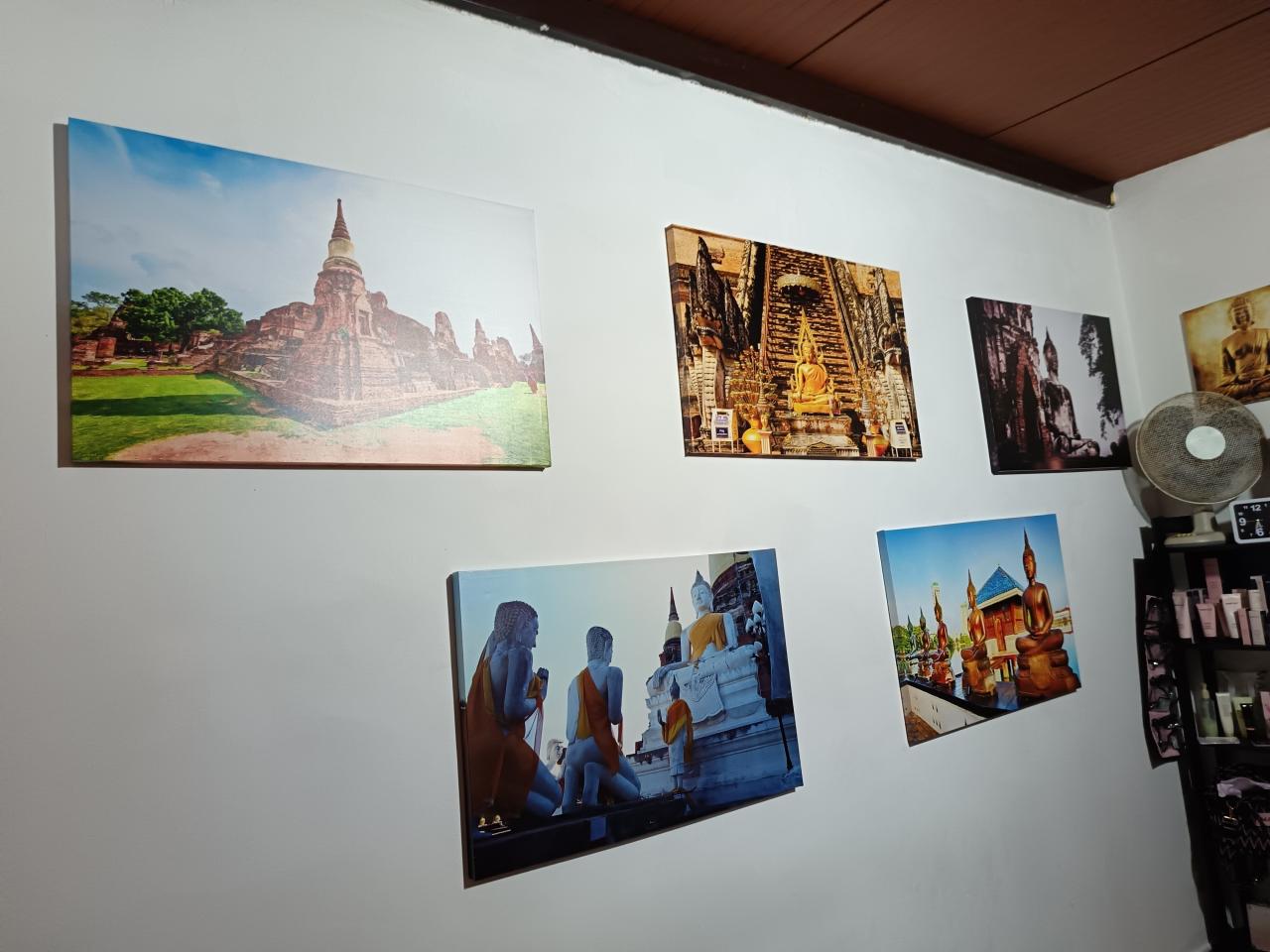 Chico busca chica en Tenerife: 