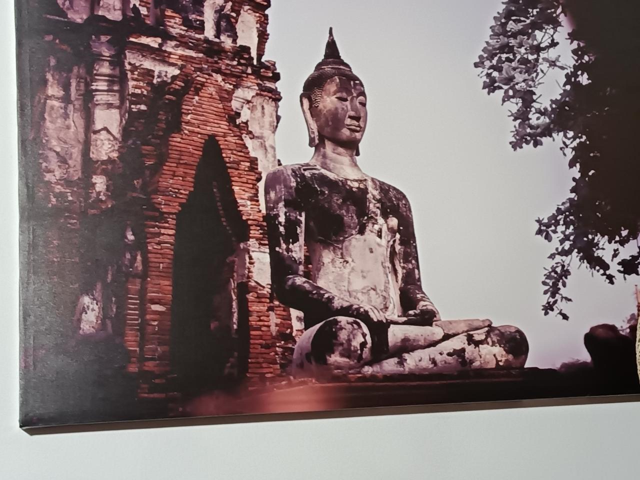 Chico busca chica en Tenerife: 