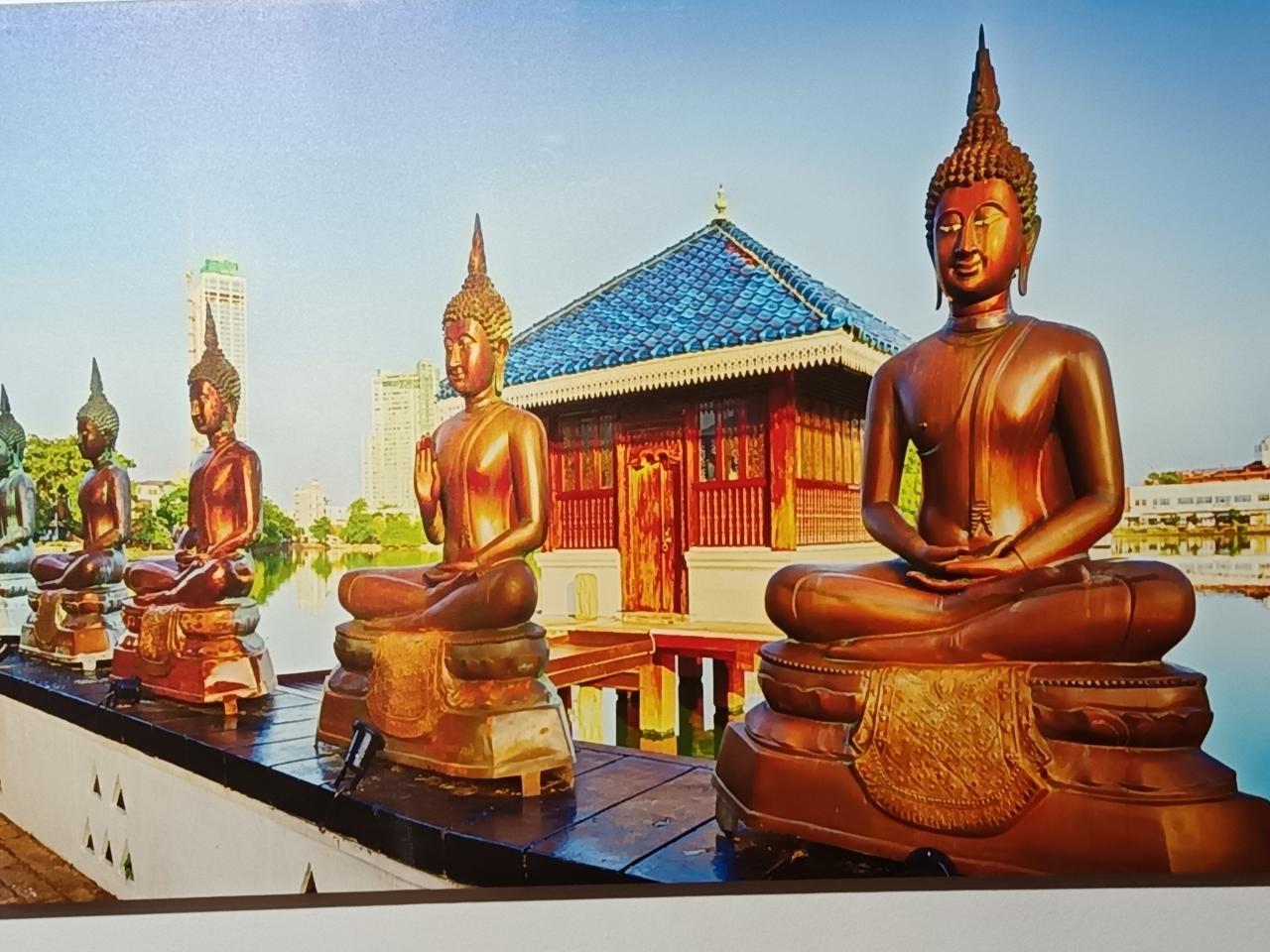 Chico busca chica en Tenerife: 