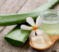 603958412: Chica busca chico en Valencia