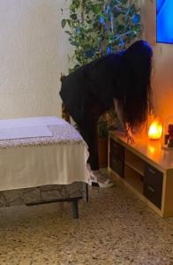 Chica busca chico en Zaragoza: 