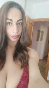 Transexual en Lérida: 