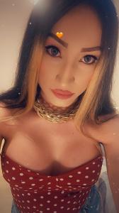 Travesti en Cantabria: 