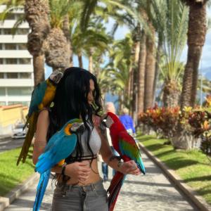 637536465: Travesti en Cantabria