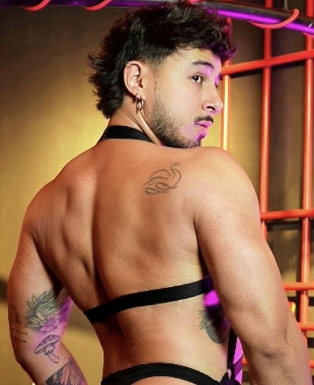 Chico busca chica en Navarra: 