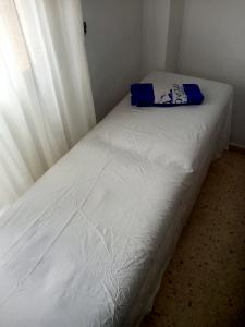 Transexual en Murcia: 