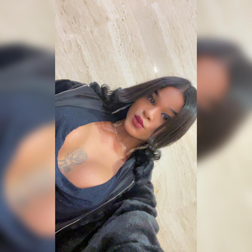 Travesti en Navarra: 