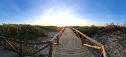 Chico busca chica en Cádiz: 