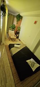 623422919: Chica busca chico en Mallorca