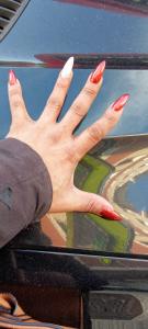 Travesti en Vizcaya: 