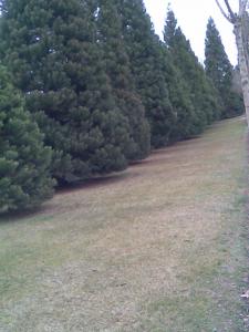 Chica busca chico en Guadalajara: 