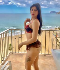 Travesti en Alicante: 