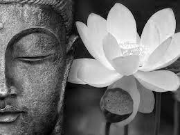 669239077: Chica busca chico en Gerona