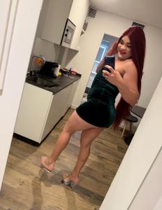 656253503: Travesti en León