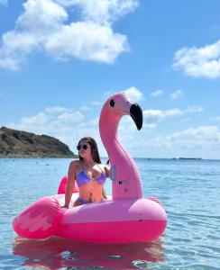 603398319: Chica busca chico en Valencia