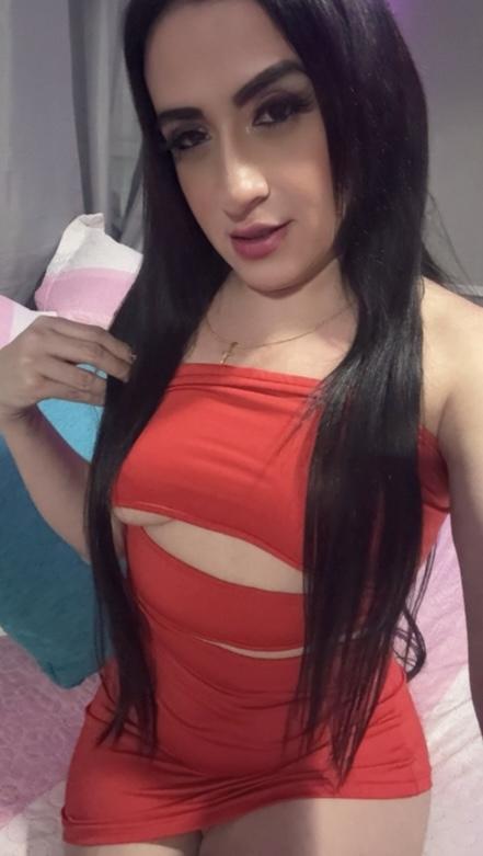 Transexual en Alicante: 