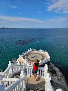 Travesti en Palencia: 