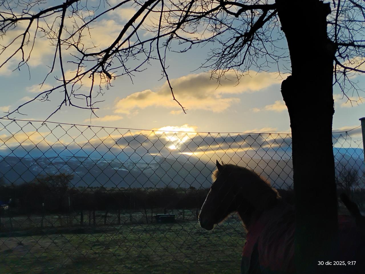 695462738: Chico busca chica en Segovia