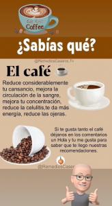 Chica busca chico en Asturias: 