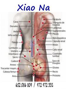 Chica busca chico en Gerona: 