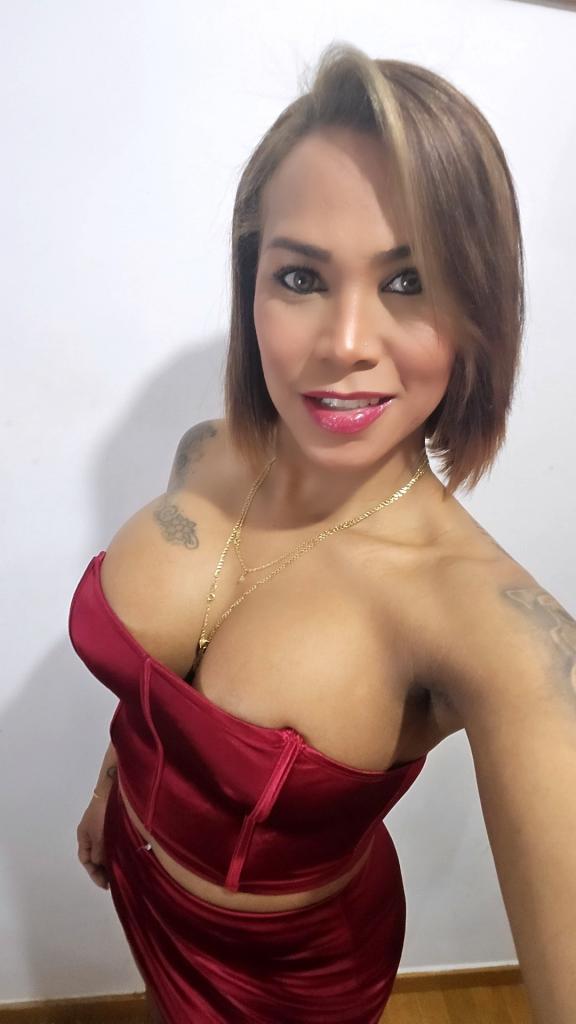 684794899: Transexual en Valencia