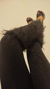 603264315: Chica busca chico en Granada