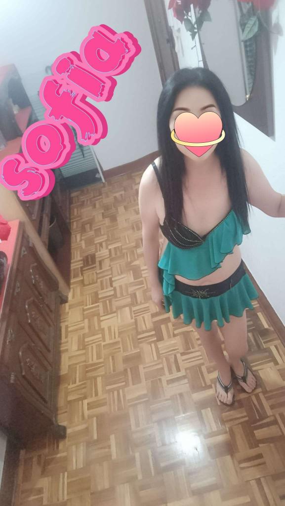 Chica busca chico en Guipúzcoa: 