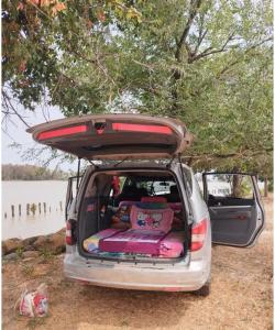 Chico busca chica en Sevilla: 