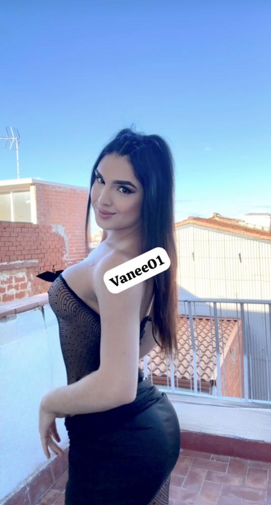 Travesti en Barcelona: 