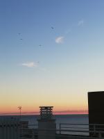 624372423: Chico busca chica en Mallorca