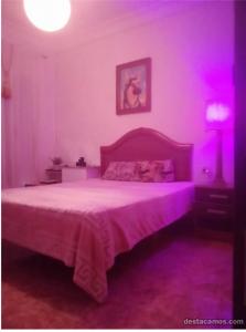 Chica busca chico en Valencia: 