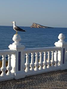 622643157: Chico busca chica en Valencia