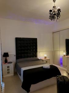 663016171: Transexual en Valladolid