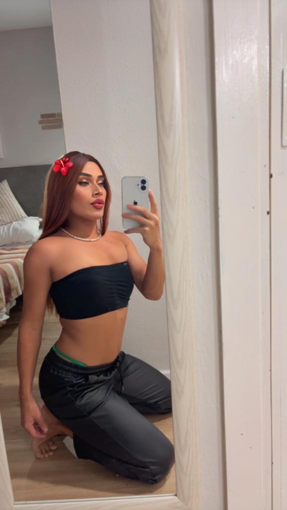 Travesti en Málaga: 