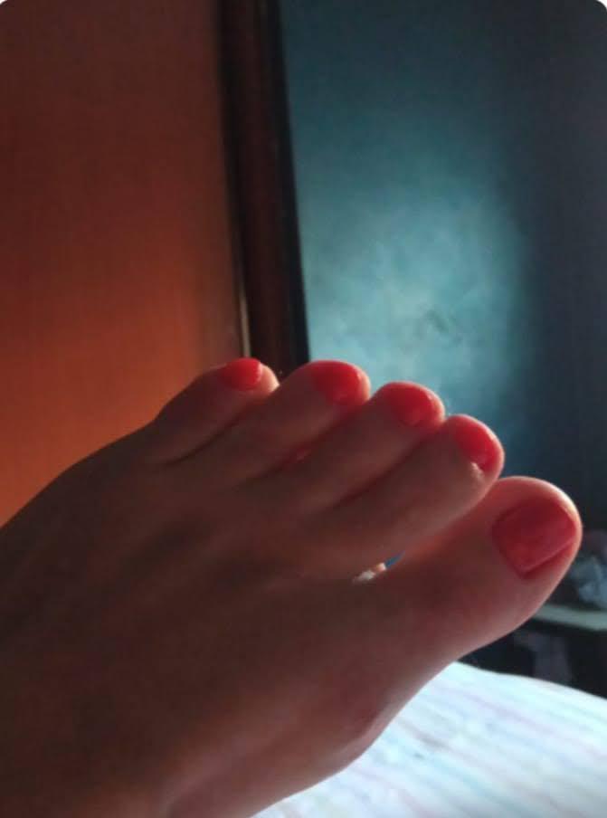 Chica busca chico en Navarra: 