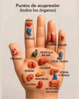 622302111: Chica busca chico en Alicante