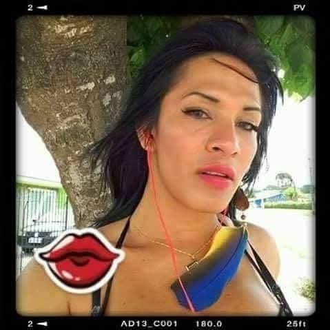 Transexual en Alicante: Transexuales y Travestis