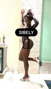 Transexual en Zaragoza: 