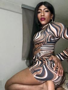 Transexual en Alicante: 