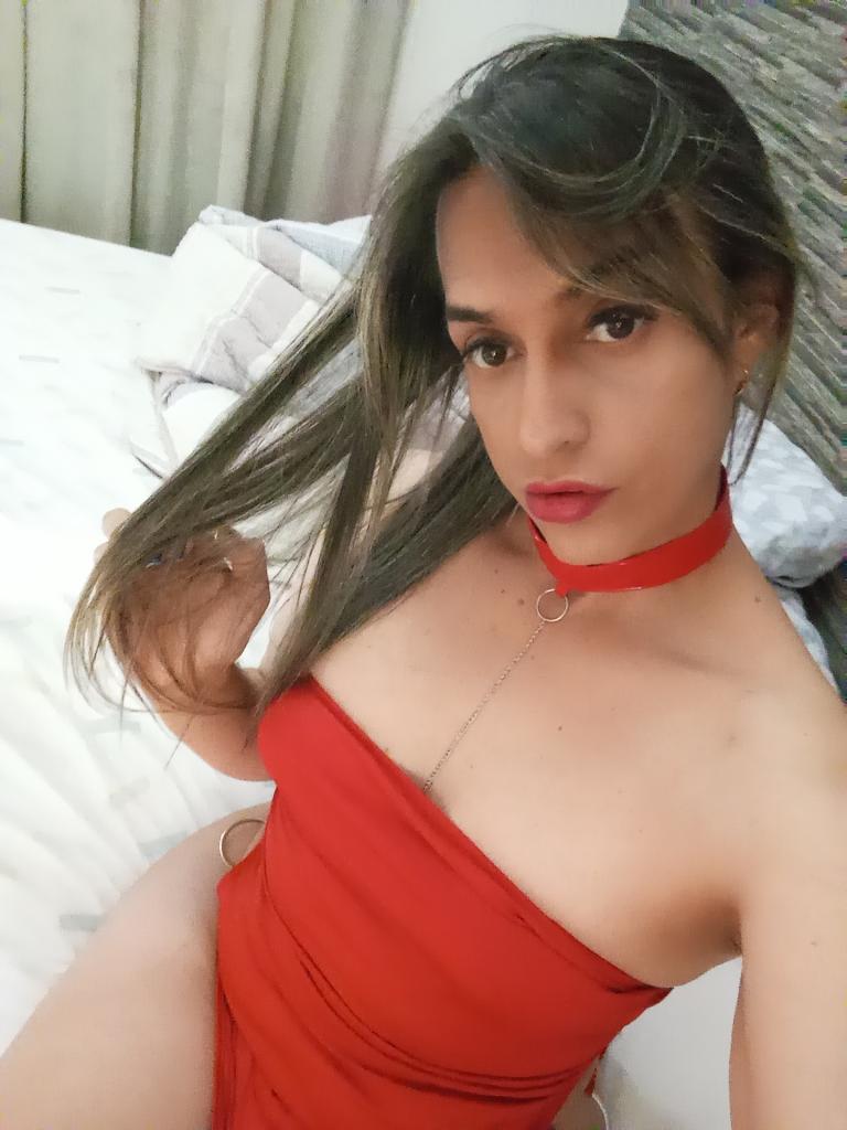 Transexual en Vizcaya: Transexuales y Travestis